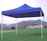 Printed Umbrella, Demo Tents, Standies, Roller Banners
